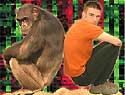 98,7 Prozent gleiches Erbgut: Schimpanse und Mensch (Bild: MPG)