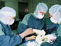 Die Abstoßung von fremden Organen ist eines der Hauptprobleme bei Transplantationen (Foto: HVBG/BUK Hamburg).