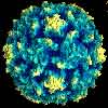 Darstellung des Polio-Virus (Bild: My Virion)